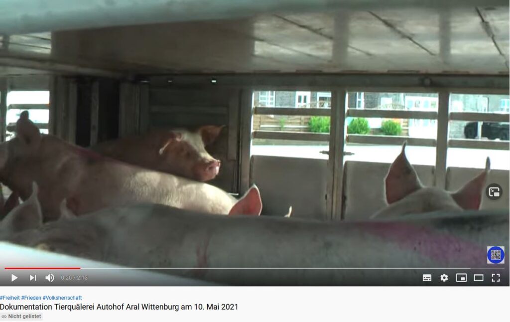 Beweisbild 4 1024x646