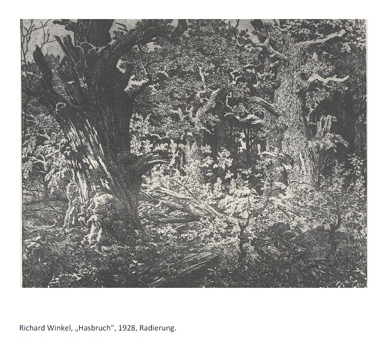 Richard Winkel Hasbruch 1928 Radierung